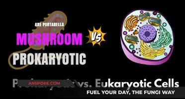 Portabella Mushrooms: Prokaryotic or Eukaryotic?
