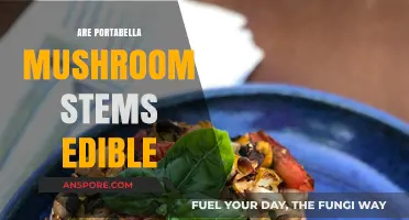 Can You Eat Portabella Mushroom Stems? A Tasty Truth Revealed