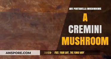 Portabella and Cremini Mushrooms: What's the Difference?