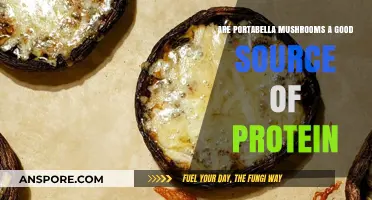 Portabella Mushrooms: A Surprising Plant-Based Protein Source?