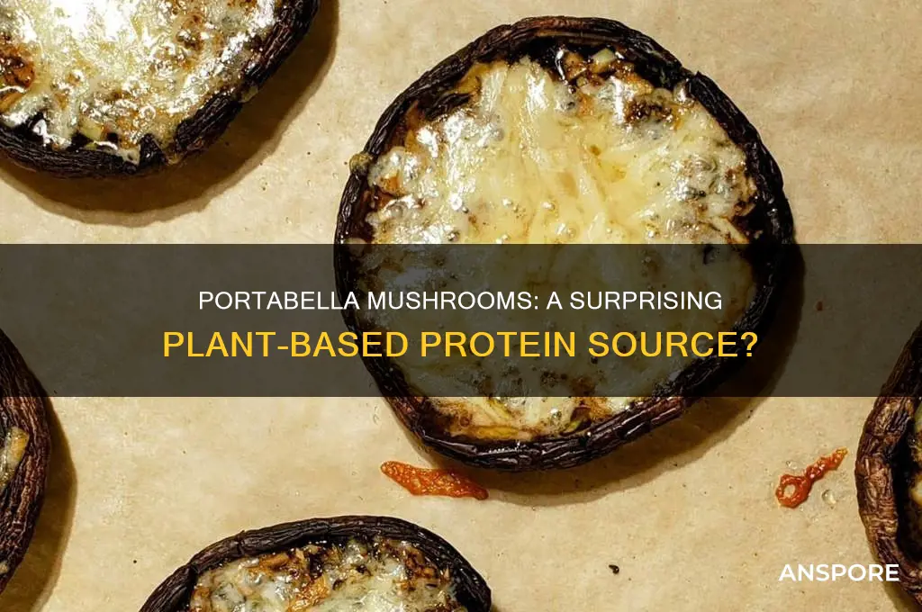are portabella mushrooms a good source of protein