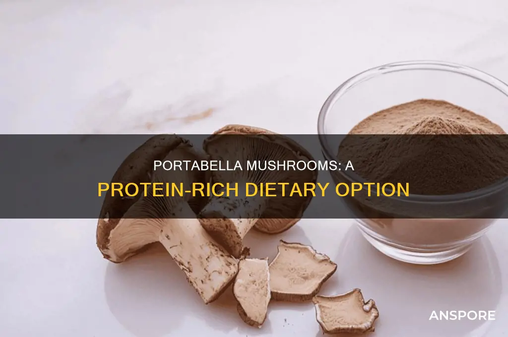 are portabella mushrooms a source of protein