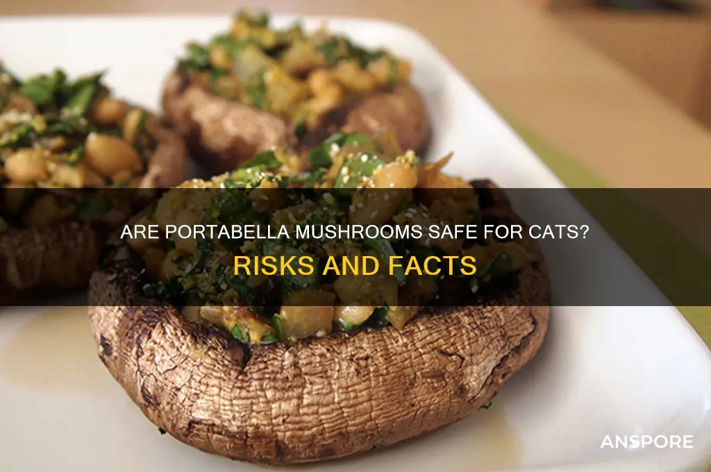 are portabella mushrooms bad for cats