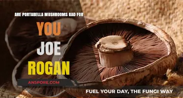 Portabella Mushrooms: Debunking Health Myths Discussed on Joe Rogan Podcast