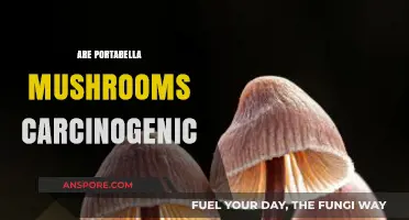 Portabella Mushrooms: Cancer-Causing or Healthy?