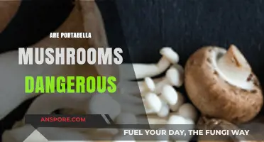 Portabella Mushrooms: Are They Safe to Eat?
