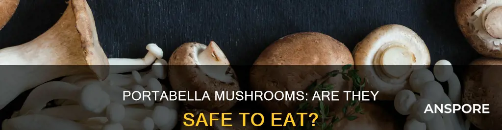 are portabella mushrooms dangerous