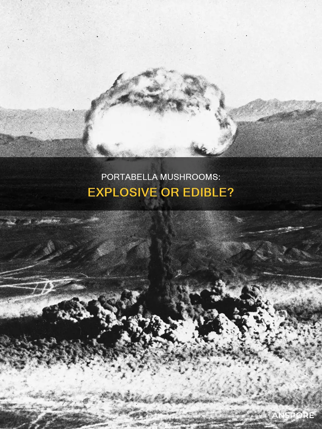 are portabella mushrooms explosive