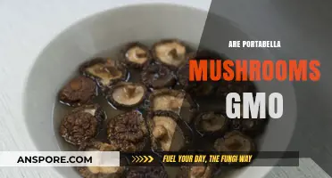 GMO Portabella Mushrooms: Are They Safe to Eat?
