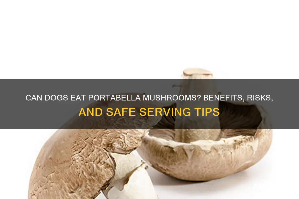 are portabella mushrooms good for dogs