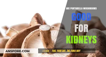 Portabella Mushrooms and Kidney Health: Benefits, Risks, and Nutrition Facts