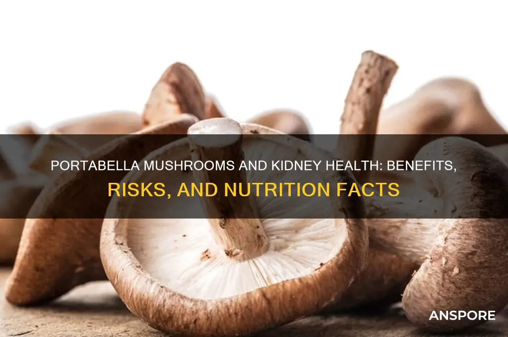 are portabella mushrooms good for kidneys