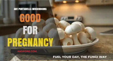 Portabella Mushrooms and Pregnancy: Nutritional Benefits and Safety Tips