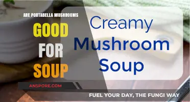 Portabella Mushrooms in Soup: A Hearty, Flavorful, and Healthy Choice?