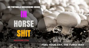 Horse Manure: The Secret Behind Portabella Mushrooms