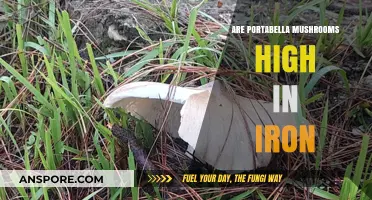 Portabella Mushrooms: Rich Source of Iron?
