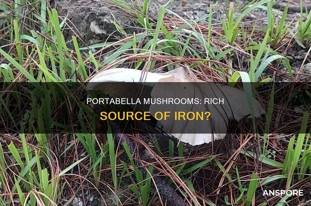 are portabella mushrooms high in iron
