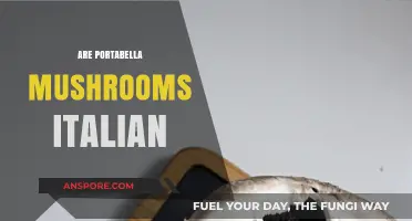 Italian Portabella Mushrooms: What's the Deal?