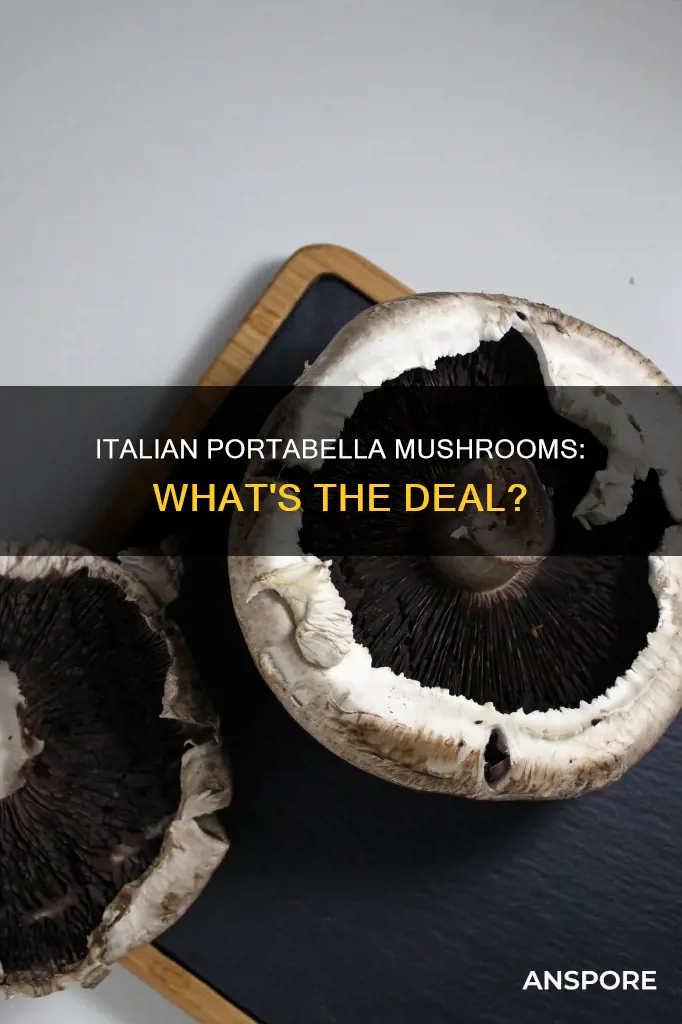 are portabella mushrooms italian