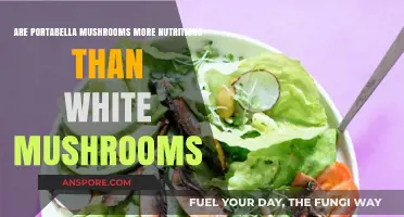 Portabella vs White Mushrooms: Which is More Nutritious?