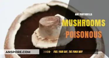 Are Portabella Mushrooms Poisonous? Debunking Myths and Facts