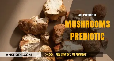 Portabella Mushrooms: Prebiotic Superfood?