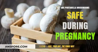 Pregnancy Diet: Are Portabella Mushrooms Safe?