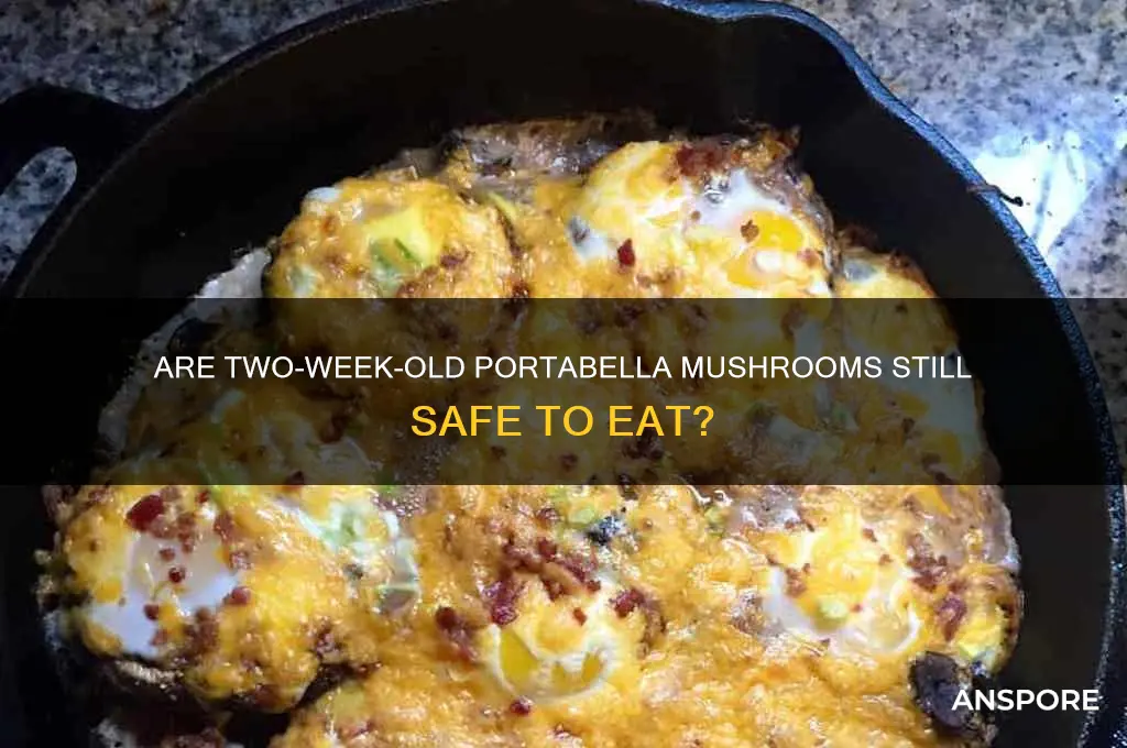 are portabella mushrooms safe to eat 2 weeks old
