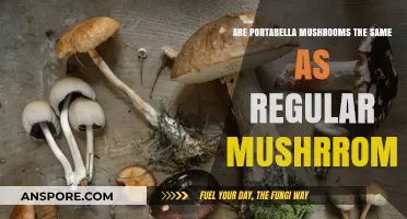 Portabella Mushrooms: Different from Regular Mushrooms?