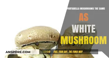Portabella vs White Mushrooms: What's the Difference?