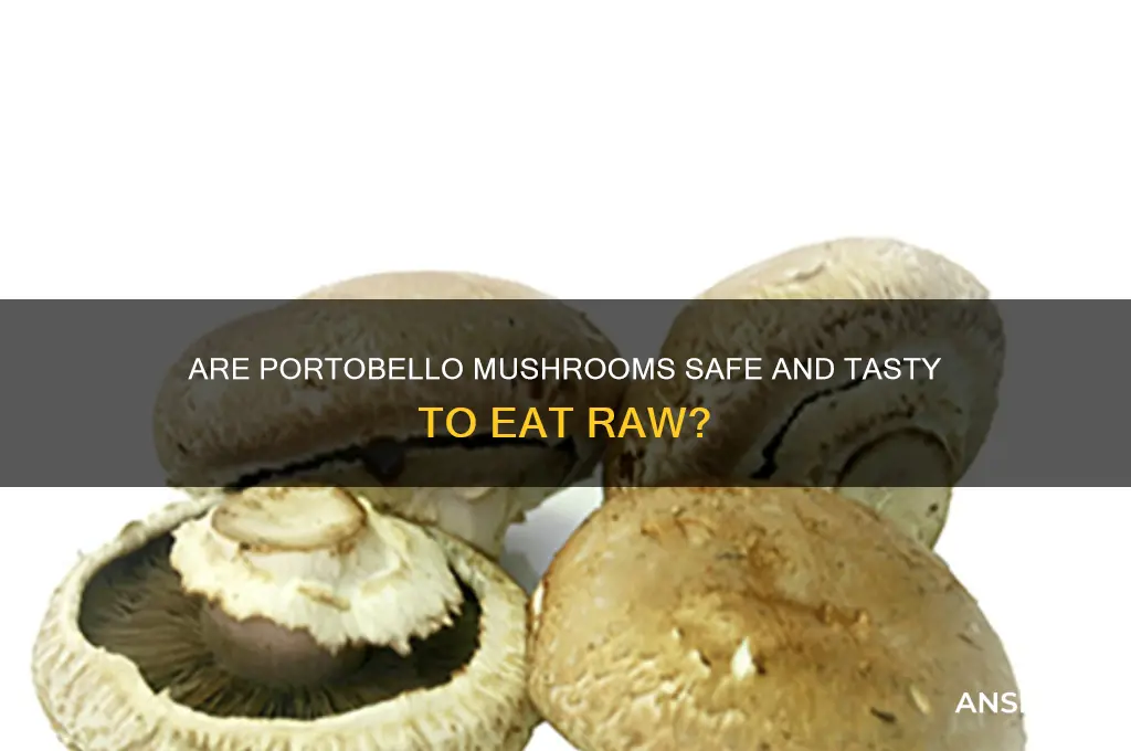 are portabello mushrooms good raw