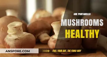 Portabello Mushrooms: Healthy Superfood or Fad?