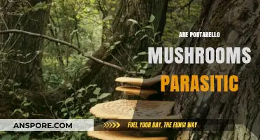 Portabello Mushrooms: Parasitic or Symbiotic?