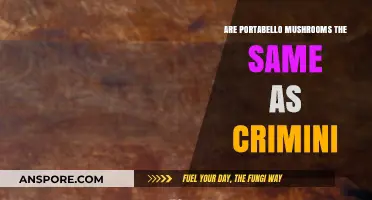 Portabello and Crimini Mushrooms: What's the Difference?