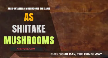 Portabello vs Shiitake: What's the Difference?