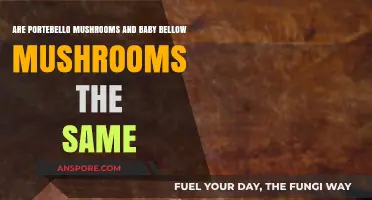 Portobello and Cremini Mushrooms: What's the Difference?