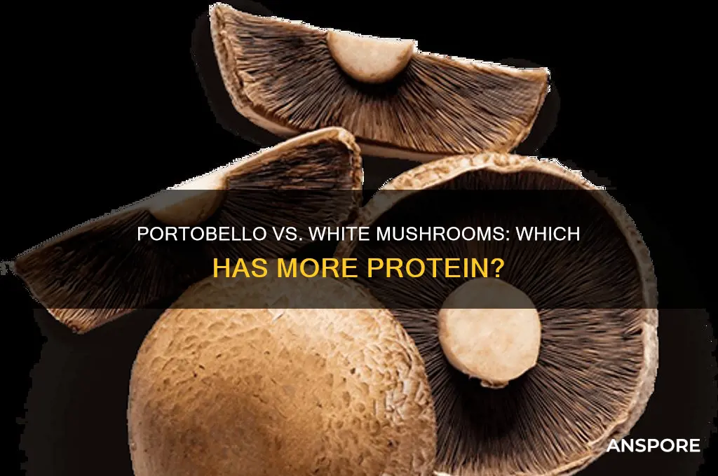 are portobello higher in protein than white mushrooms