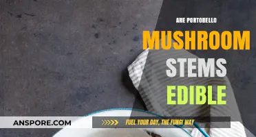 Are Portobello Mushroom Stems Edible? A Complete Guide to Eating Them