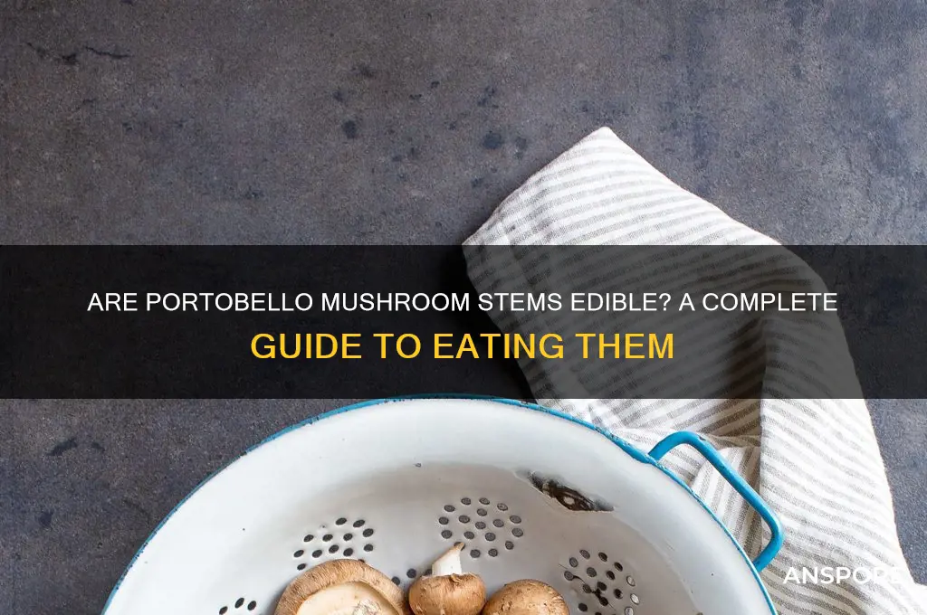 are portobello mushroom stems edible