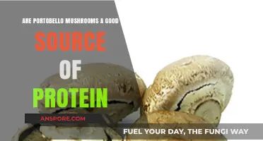 Portobello Mushrooms: A Surprising Plant-Based Protein Source?