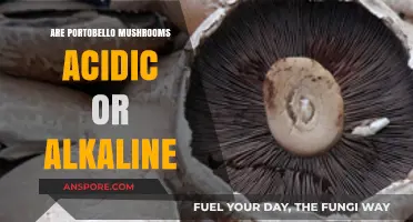 Portobello Mushrooms: Unveiling Their pH Level - Acidic or Alkaline?