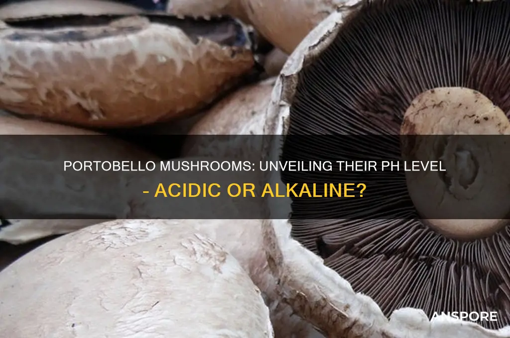 are portobello mushrooms acidic or alkaline