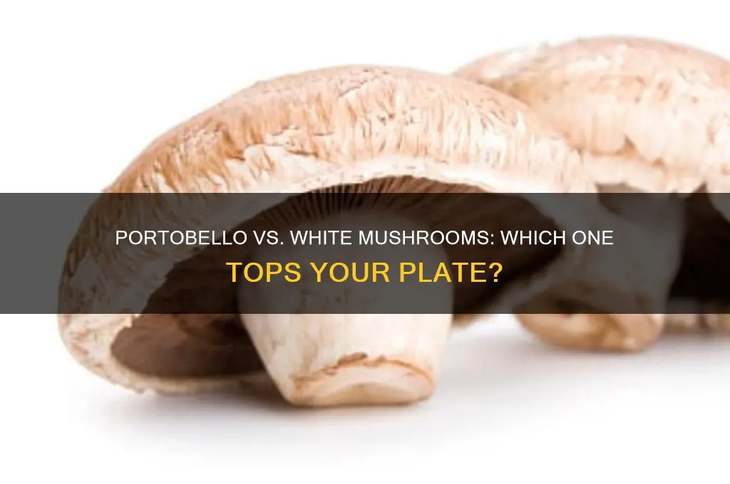 are portobello mushrooms better than white