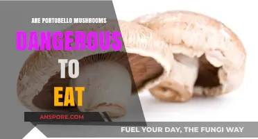 Are Portobello Mushrooms Safe? Debunking Myths About Eating Them