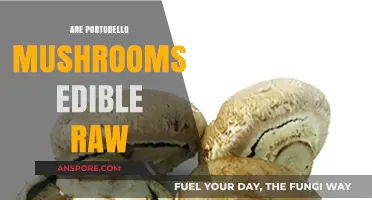Can You Eat Portobello Mushrooms Raw? A Quick Guide