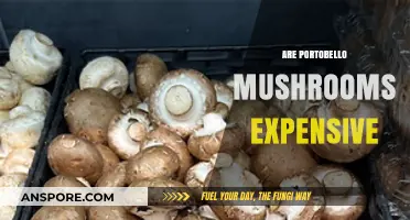 Are Portobello Mushrooms a Budget-Friendly or Pricey Choice?