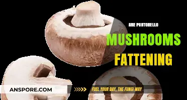 Are Portobello Mushrooms Fattening? Unveiling the Nutritional Truth
