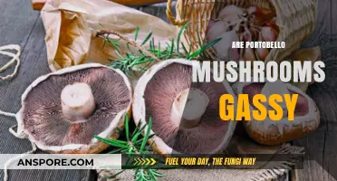 Do Portobello Mushrooms Cause Gas? Debunking the Myth