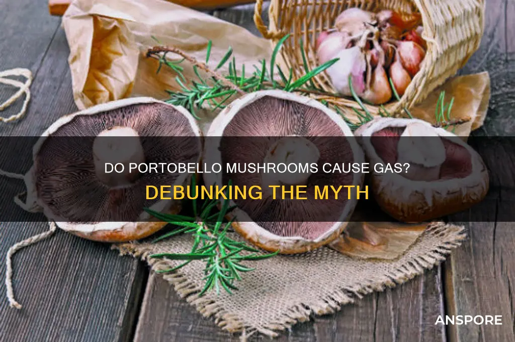 are portobello mushrooms gassy