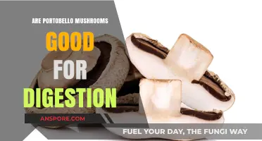 Portobello Mushrooms: Digestive Benefits and Gut Health Explained